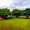 1575471392 1552030372 q mango forest 0465.jpg.jpg?w=60&h=60&dpr=1